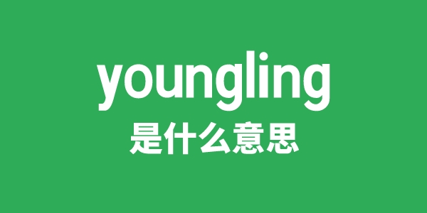 youngling是甚么意义