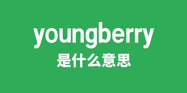 youngberry是甚么意义
