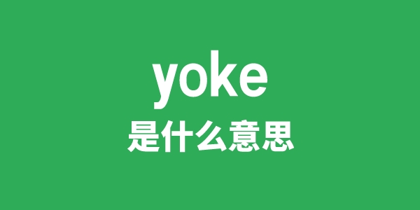 yoke是甚么意义