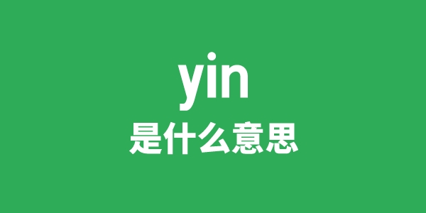 yin是甚么意义