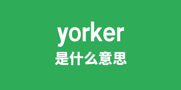 yorker是甚么意义