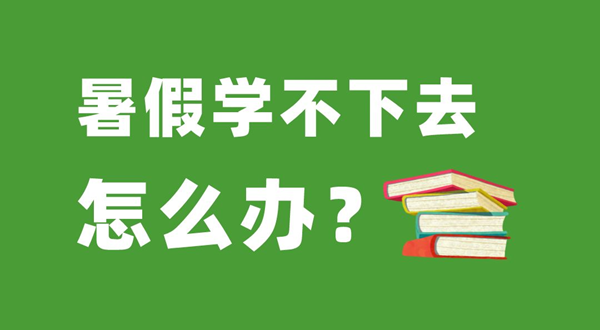 高中生寒假进修筹算表,高中生寒假怎样支配