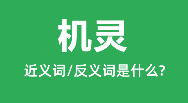 机警的近义词和反义词是甚么,机警是甚么意义