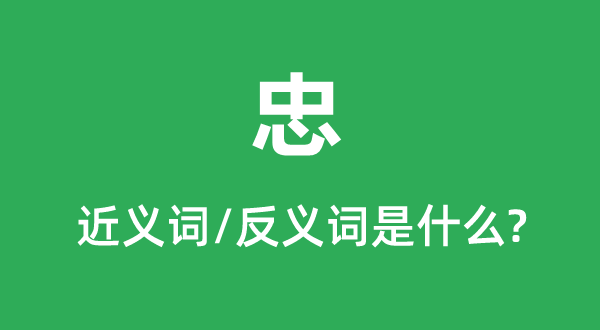 忠的近义词和反义词是甚么,忠是甚么意义