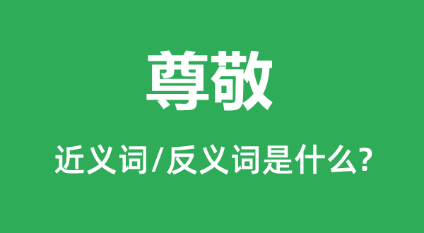尊重的近义词和反义词是甚么,尊重是甚么意义