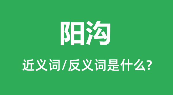 暗沟的近义词和反义词是甚么,暗沟是甚么意义