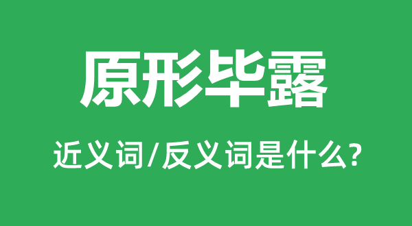 真相毕露的近义词和反义词是甚么,真相毕露是甚么意义