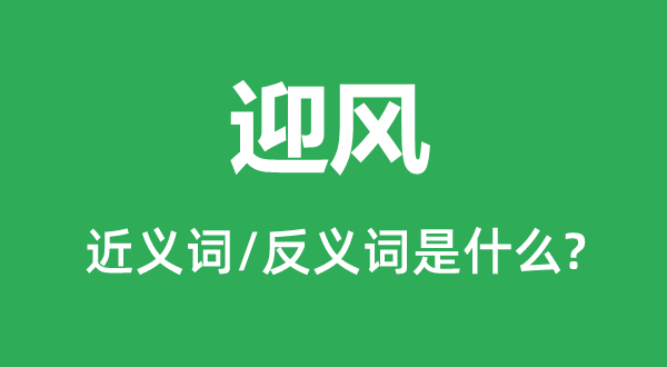 顶风的近义词和反义词是甚么,顶风是甚么意义
