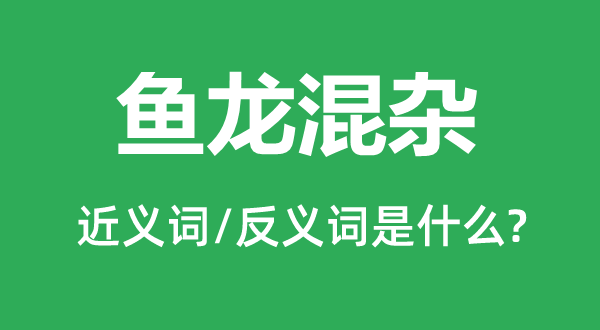 鱼龙稠浊的近义词和反义词是甚么,鱼龙稠浊是甚么意义