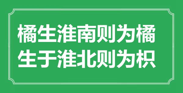 “橘生淮南则为橘，生于淮北则为枳”的意义来由及全文赏析