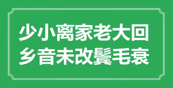 “少小离家垂老回，乡音未改鬓毛衰”的意义是甚么,来由是哪首诗