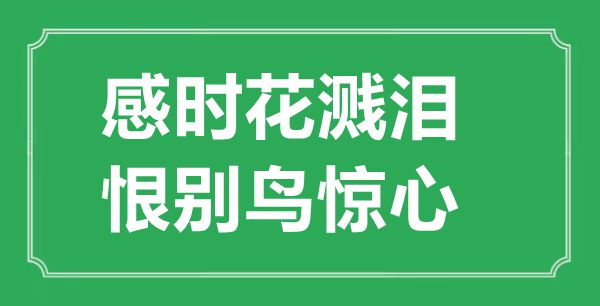 “感时花溅泪，恨别鸟惊心”的意义来由及全诗赏析