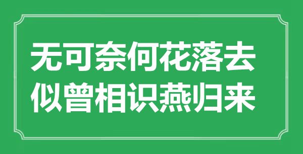 “无可何如花落去，似曾领会燕返来”是甚么意义,来由是那里