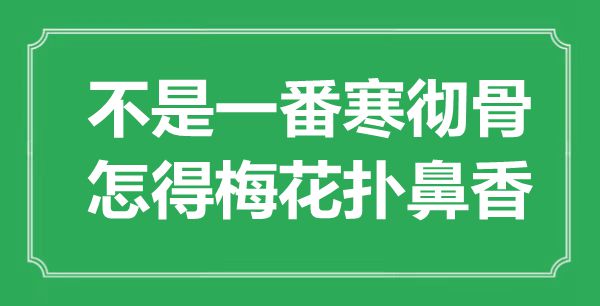“不是一番寒透骨，怎得梅花扑鼻香”是甚么意义,来由是那里