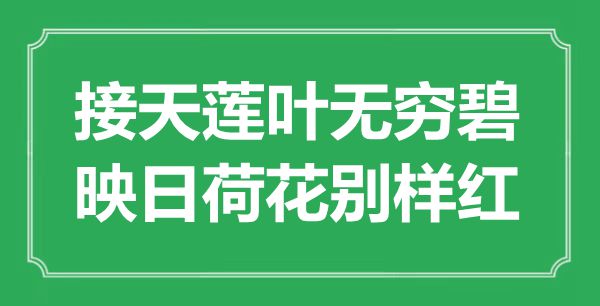 ““接天莲叶无限碧,映日荷花别样红”是甚么意义_来由是那里