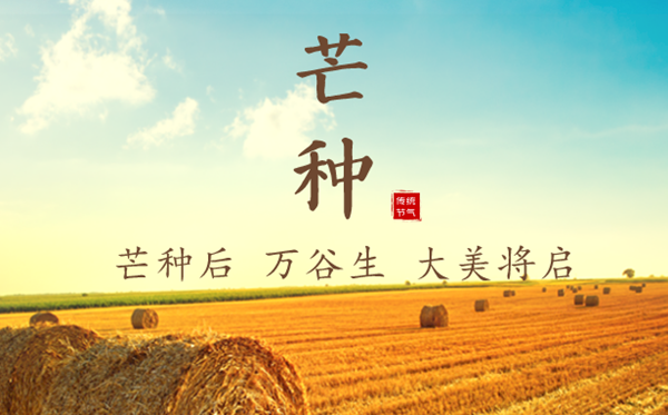 2023年芒种是几月几日几点,芒种的寄义是甚么意义
