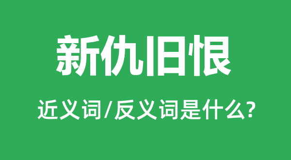 新仇宿恨的近义词和反义词是甚么,新仇宿恨是甚么意义