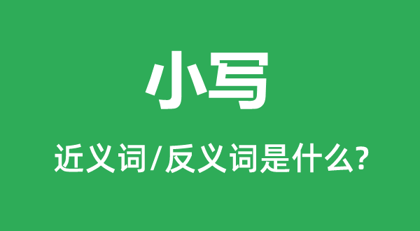 小写的近义词和反义词是甚么,小写是甚么意义