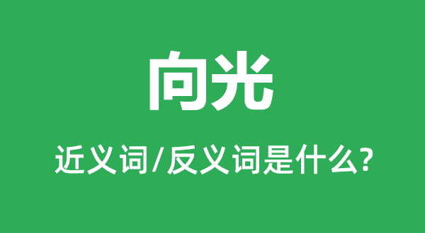 向光的近义词和反义词是甚么,向光是甚么意义
