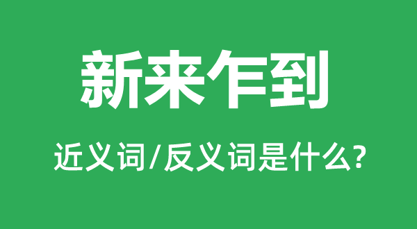 下车伊始的近义词和反义词是甚么,下车伊始是甚么意义