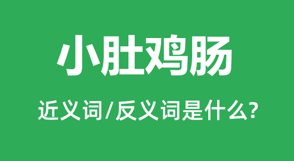 鼠肚鸡肠的近义词和反义词是甚么,鼠肚鸡肠是甚么意义