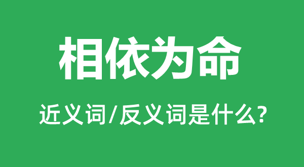 相依为命的近义词和反义词是甚么,相依为命是甚么意义