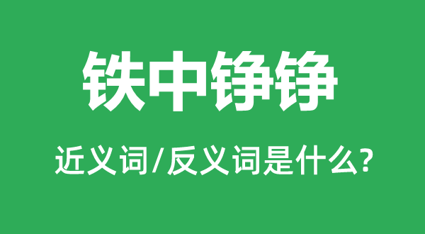 人中表表的近义词和反义词是甚么,人中表表是甚么意义