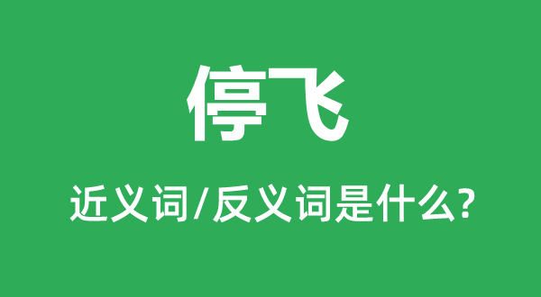 停飞的近义词和反义词是甚么,停飞是甚么意义
