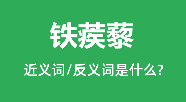 铁丝网的近义词和反义词是甚么,铁丝网是甚么意义