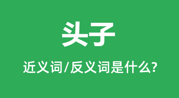 头子的近义词和反义词是甚么,头子是甚么意义
