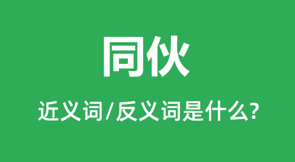 伴侣的近义词和反义词是甚么,伴侣是甚么意义