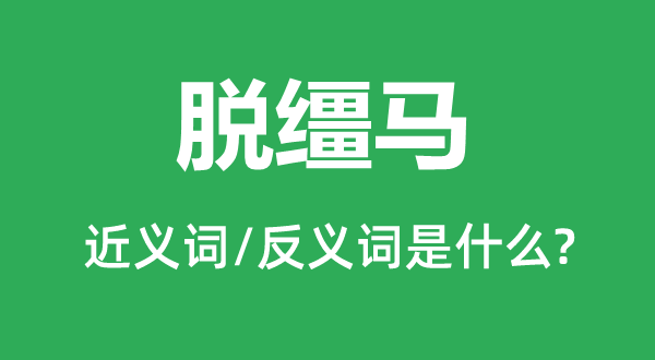脱缰马的近义词和反义词是甚么,脱缰马是甚么意义