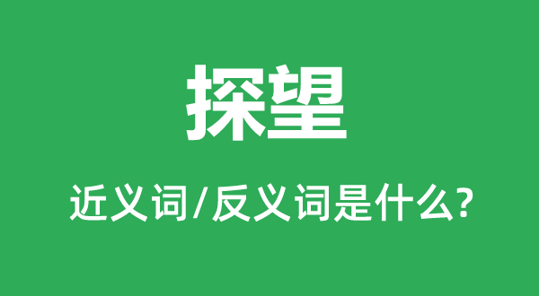 看望的近义词和反义词是甚么,看望是甚么意义