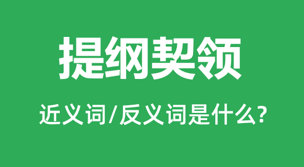 大纲契领的近义词和反义词是甚么,大纲契领是甚么意义