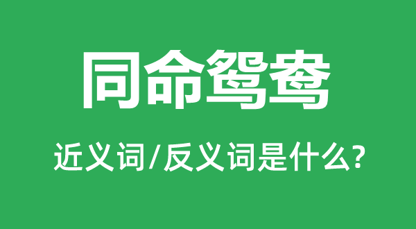 磨难伉俪的近义词和反义词是甚么,磨难伉俪是甚么意义