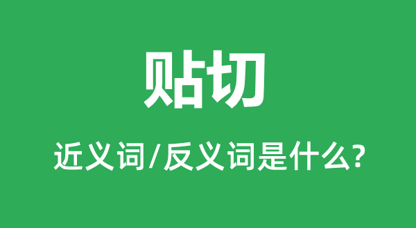 贴切的近义词和反义词是甚么,贴切是甚么意义