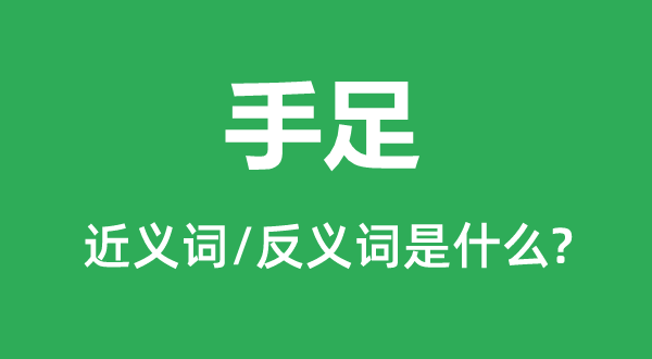 伯仲的近义词和反义词是甚么,伯仲是甚么意义