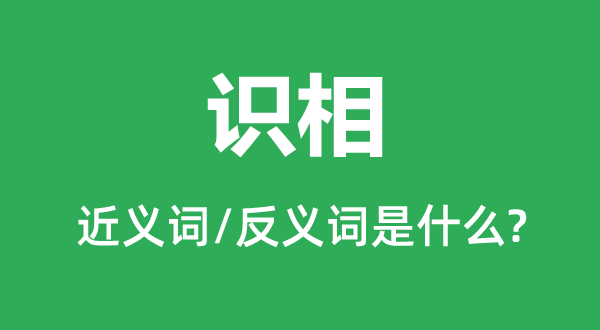 知趣的近义词和反义词是甚么,知趣是甚么意义