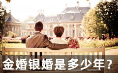 金婚银婚是几多年_成婚10年到
