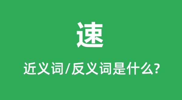 速的近义词和反义词是甚么,速是甚么意义