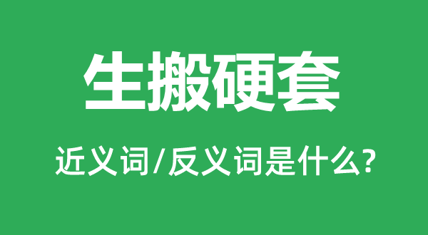 不求甚解的近义词和反义词是甚么,不求甚解是甚么意义