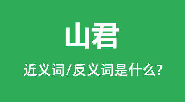 老虎的近义词和反义词是甚么,老虎是甚么意义
