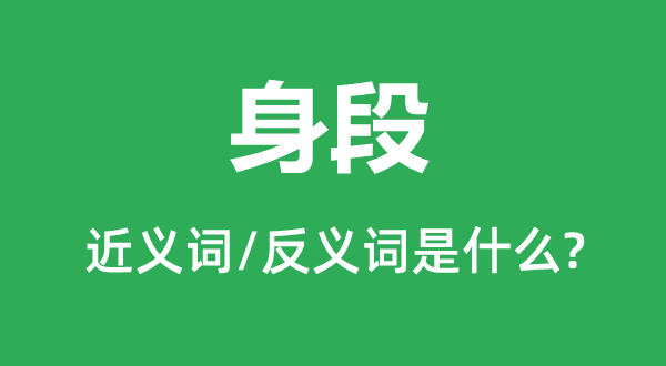 身材的近义词和反义词是甚么,身材是甚么意义
