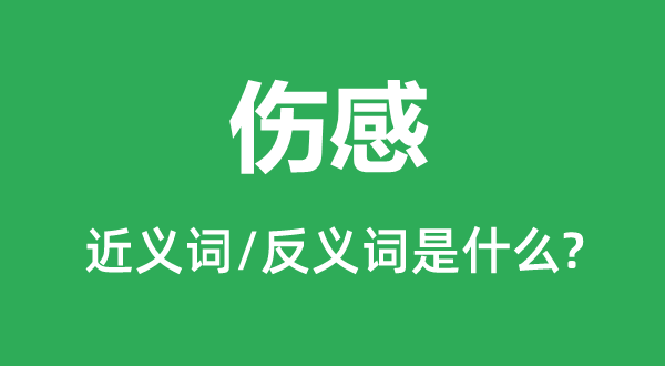 伤感的近义词和反义词是甚么,伤感是甚么意义