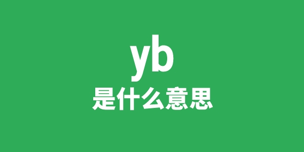 yb是甚么意义