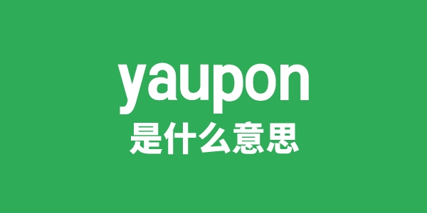yaupon是甚么意义