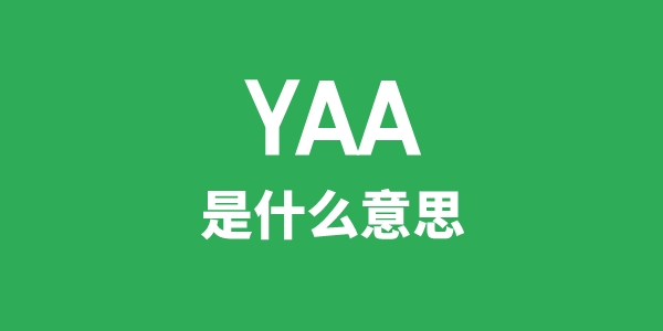 YAA是甚么意义