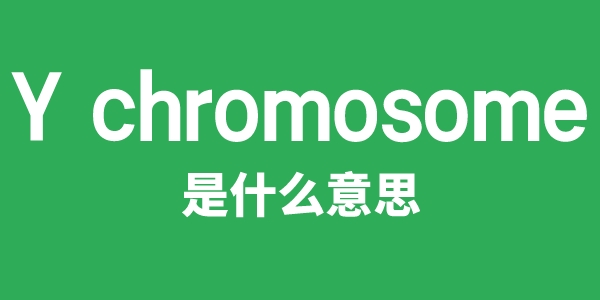 Y chromosome是甚么意义