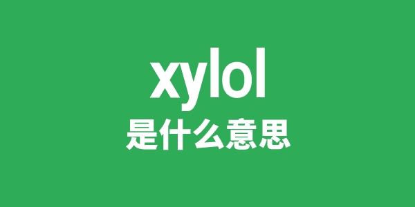 xylol是甚么意义