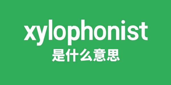 xylophonist是甚么意义